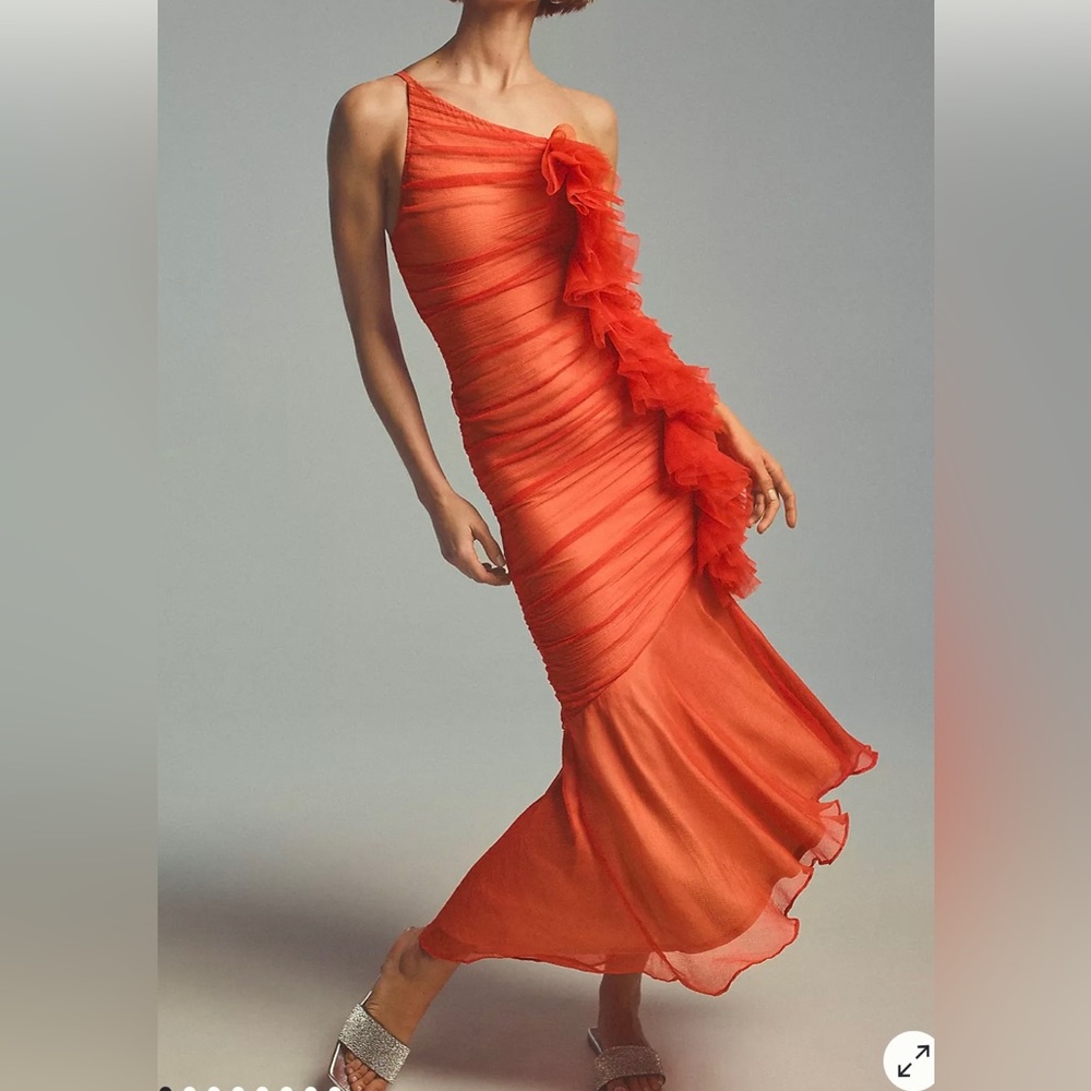NEW W TAGS Anthropologie tulle one shoulder dress